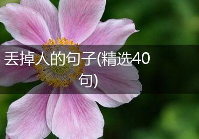 丢掉人的句子(精选40句)