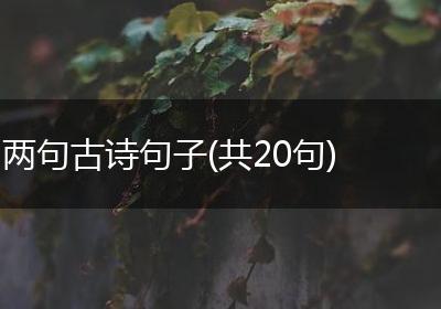 两句古诗句子(共20句)