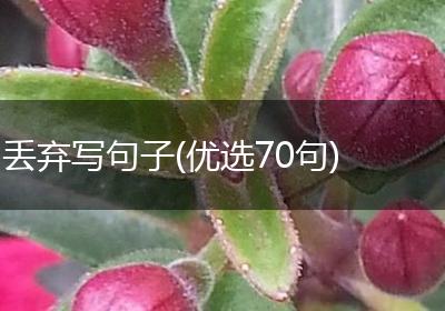 丢弃写句子(优选70句)