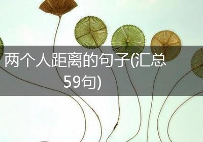 两个人距离的句子(汇总59句)