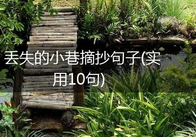 丢失的小巷摘抄句子(实用10句)