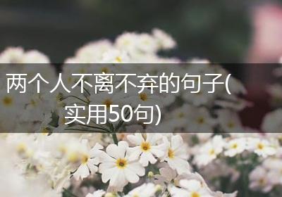 两个人不离不弃的句子(实用50句)