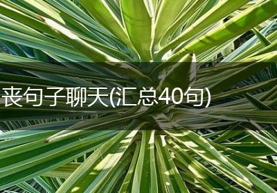 丧句子聊天(汇总40句)
