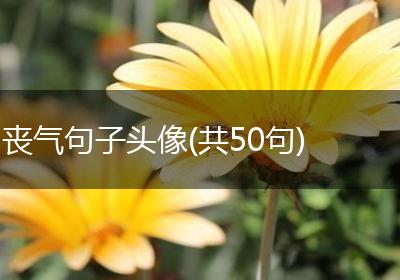 丧气句子头像(共50句)