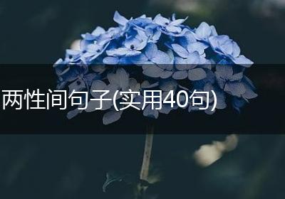 两性间句子(实用40句)