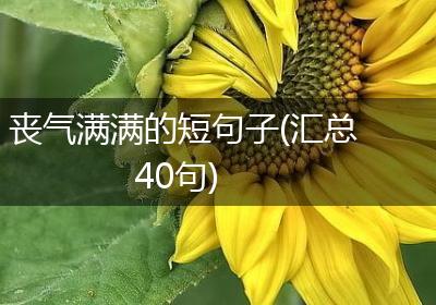 丧气满满的短句子(汇总40句)