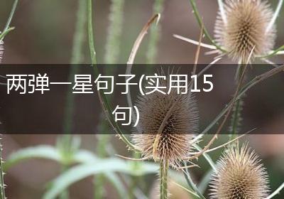 两弹一星句子(实用15句)