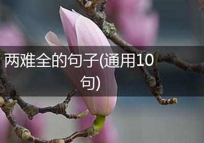 两难全的句子(通用10句)