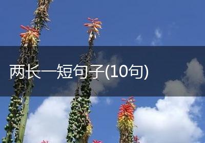 两长一短句子(10句)