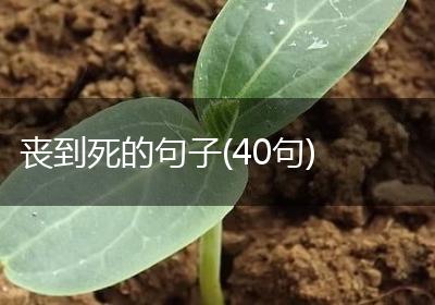 丧到死的句子(40句)