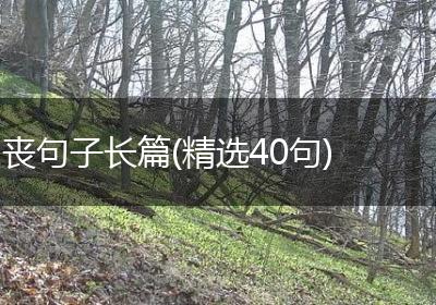 丧句子长篇(精选40句)
