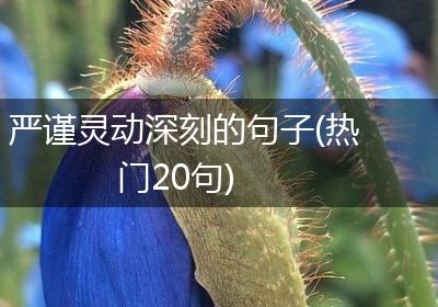 严谨灵动深刻的句子(热门20句)
