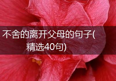 不舍的离开父母的句子(精选40句)