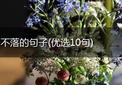 不落的句子(优选10句)