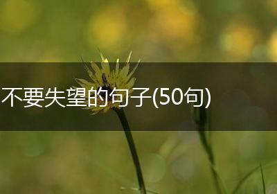 不要失望的句子(50句)
