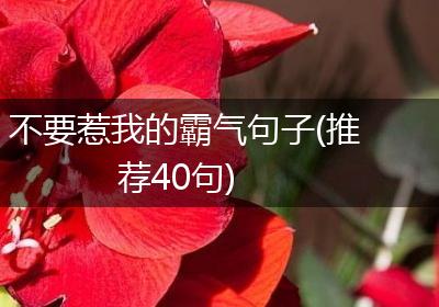 不要惹我的霸气句子(推荐40句)