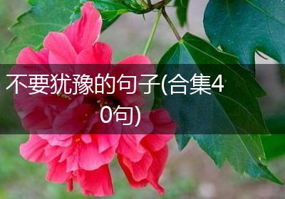 不要犹豫的句子(合集40句)