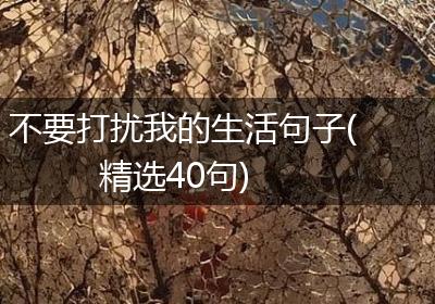 不要打扰我的生活句子(精选40句)