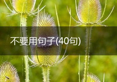 不要用句子(40句)