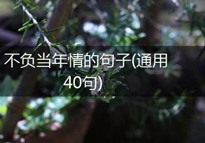 不负当年情的句子(通用40句)