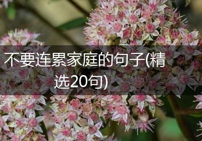 不要连累家庭的句子(精选20句)