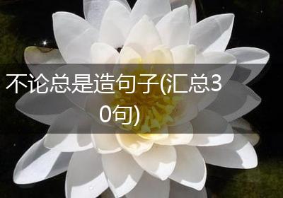 不论总是造句子(汇总30句)