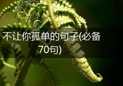 不让你孤单的句子(必备70句)