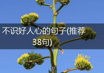 不识好人心的句子(推荐38句)