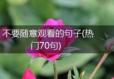 不要随意观看的句子(热门70句)