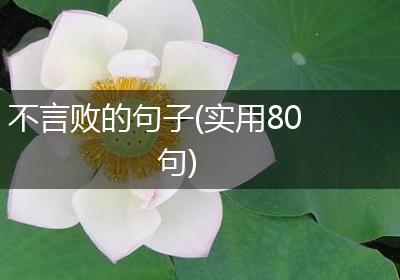 不言败的句子(实用80句)
