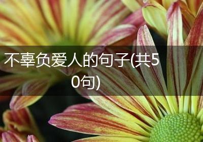不辜负爱人的句子(共50句)