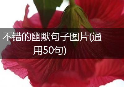 不错的幽默句子图片(通用50句)