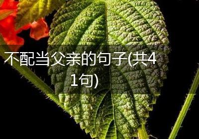 不配当父亲的句子(共41句)