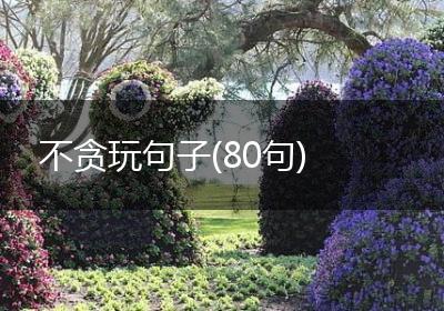 不贪玩句子(80句)