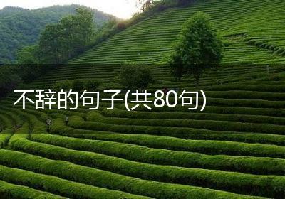 不辞的句子(共80句)