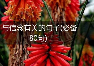 与信念有关的句子(必备80句)