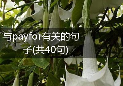 与payfor有关的句子(共40句)