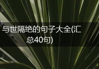 与世隔绝的句子大全(汇总40句)