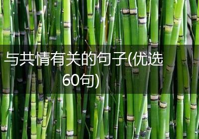 与共情有关的句子(优选60句)
