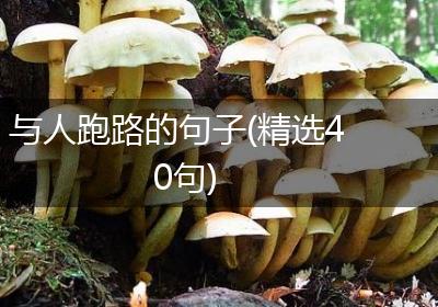 与人跑路的句子(精选40句)