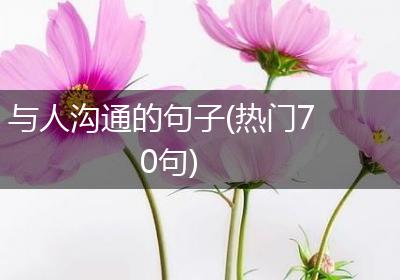 与人沟通的句子(热门70句)
