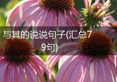 与其的说说句子(汇总79句)