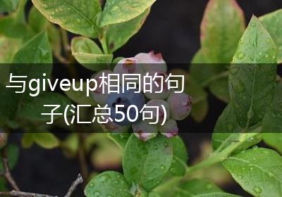 与giveup相同的句子(汇总50句)