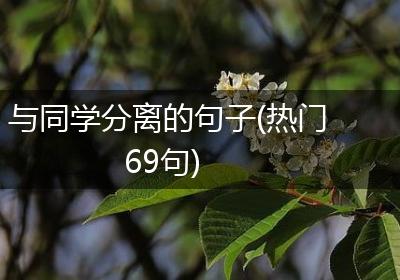 与同学分离的句子(热门69句)
