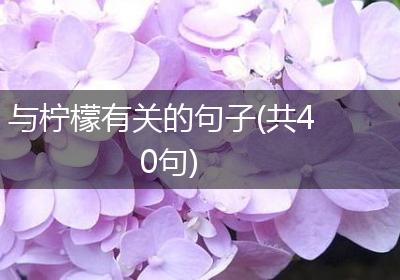 与柠檬有关的句子(共40句)
