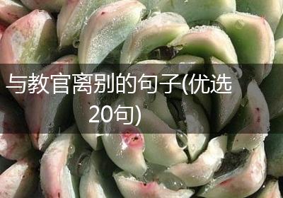 与教官离别的句子(优选20句)