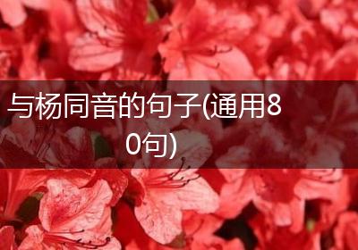 与杨同音的句子(通用80句)