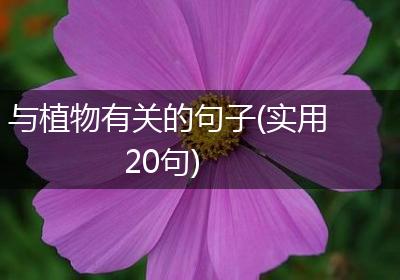与植物有关的句子(实用20句)