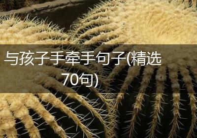 与孩子手牵手句子(精选70句)