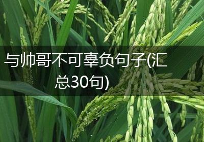 与帅哥不可辜负句子(汇总30句)